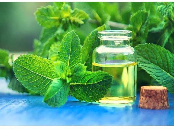 Peppermint Essential Oil