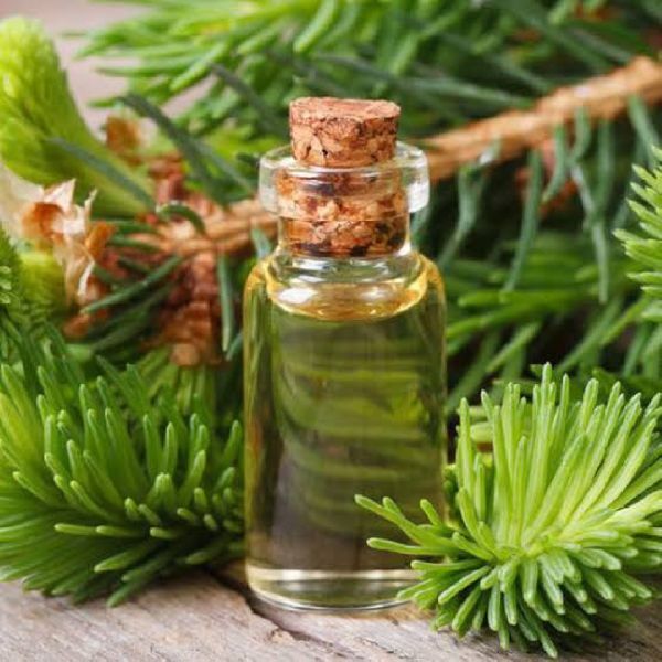 Pine Essential Oil