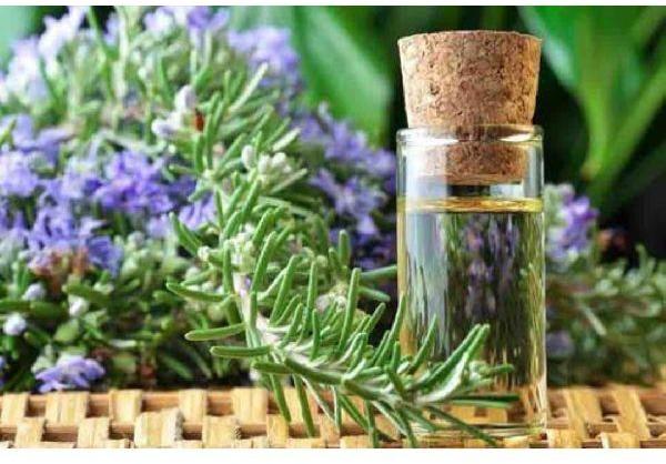 rosemary essential oil