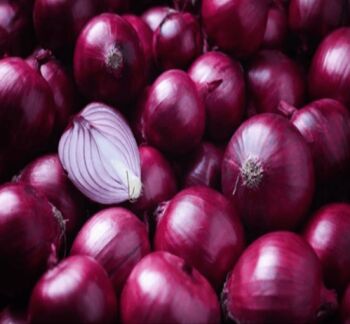Natural Organic Onion, for Home, Hotels, Onion Size Available : Medium
