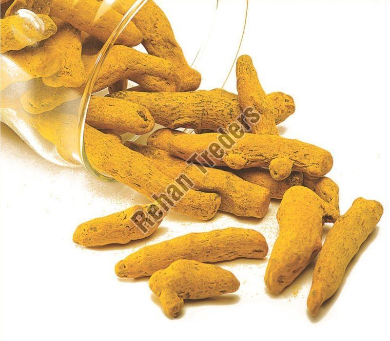 Yellow Turmeric Finger, for Cooking, Spices, Packaging Type : Plastic Packet