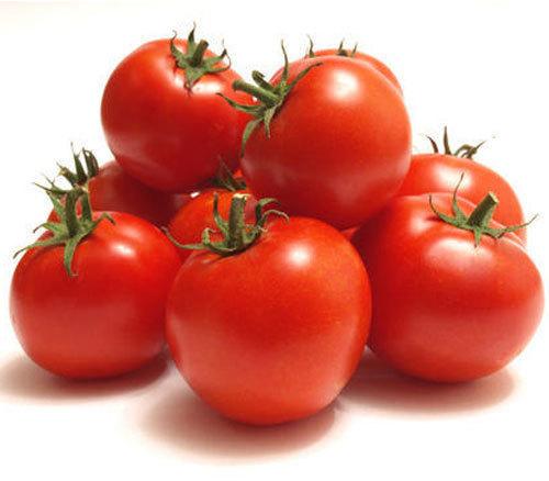 Fresh Red Tomato, for Cooking, Skin Products, Packaging Type : Net Bag