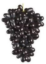 Black Sonaka Grapes