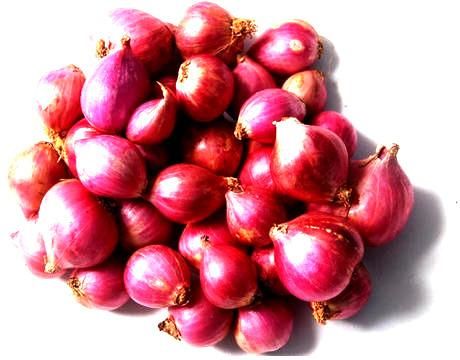 Fresh Small Onion