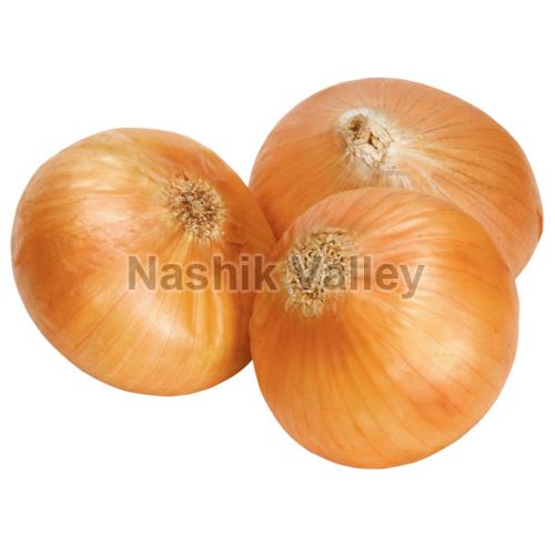 Fresh Yellow Onion, for Human Consumption, Feature : Natural Taste, Freshness