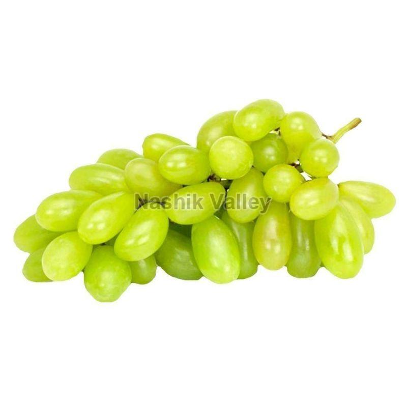 Natural Green Seedless Grapes, for Human Consumption, Certification : FSSAI Certified