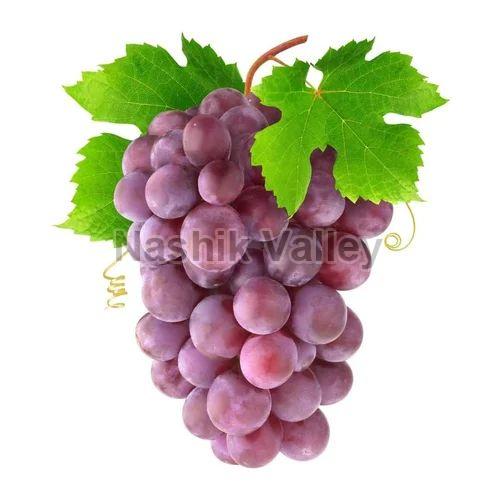 Purple Grapes