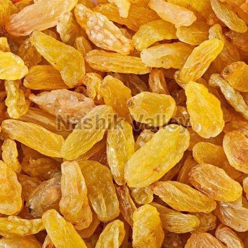 Yellow Long Raisins, for Human Consumption, Taste : Light Sweet