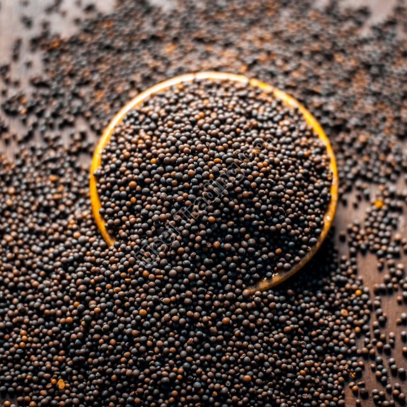 Granules Mustard Seeds, for Cooking, Packaging Size : 200gm