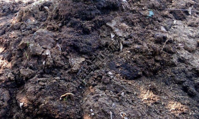 Dark Brown Pure Cow Dung Manure, for Agricultural Purpose