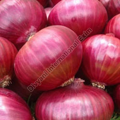 Organic Fresh Red Onion, for Cooking, Style : Natural