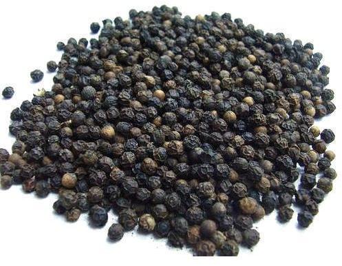 Raw Black Pepper Seeds, for Cooking, Spices, Food Medicine, Specialities : Pure, Long Shelf Life