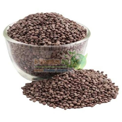 Natural Black Masoor Dal, Speciality : High In Protein
