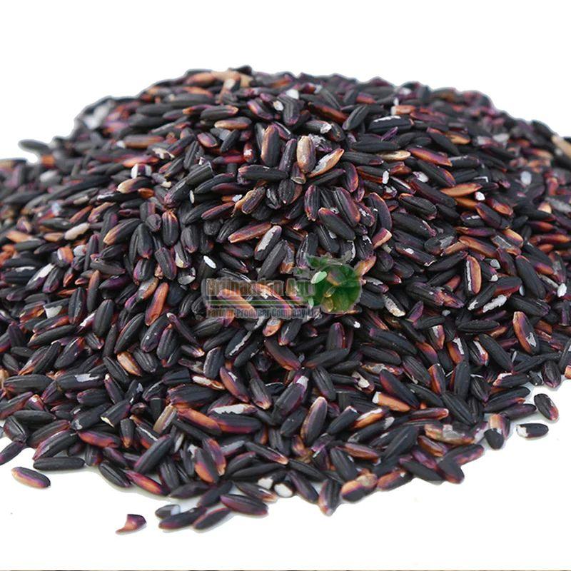 Hard Natural Black Rice, for Human Consumption, Cooking, Certification : FSSAI Certified