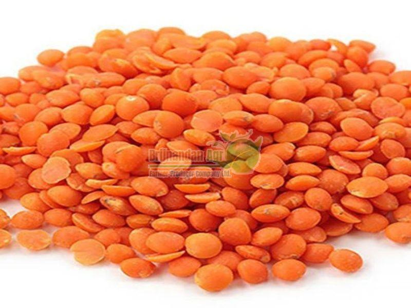 Natural Red Masoor Dal, for Cooking, Feature : Nutritious, Healthy To Eat