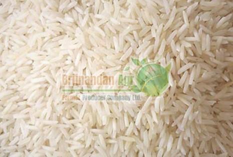 Hard Natural Sharbati Raw Basmati Rice, for Cooking, Human Consumption, Certification : FSSAI Certified