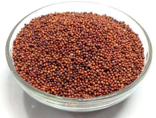 Red Organic finger millet seeds, for Cooking, Style : Dried