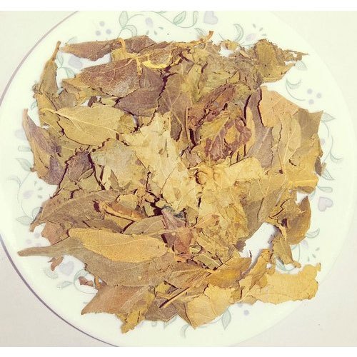 Brown Natural Dried Harsingaar Leaves, for Medicine