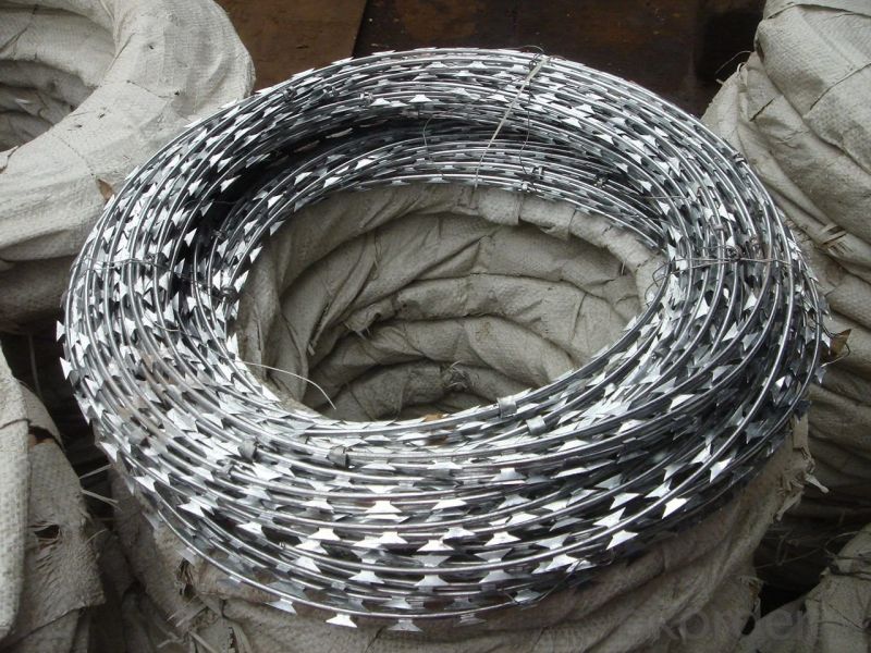 Iron Concertina Barbed Wire, for Cages, Construction, Fence Mesh