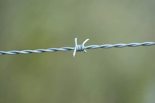 Silver Iron Single Twist Barbed Wire, for Construction, Technics : Welded Mesh