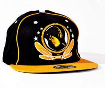 Black Yellow FV Hat