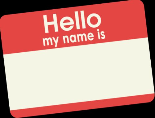 Gloss Paper Name Tag, Packaging Type : With Pouch Lanyard