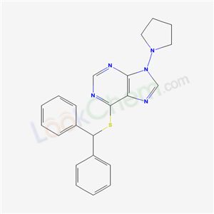 6-benzhydrylsulfanyl-9-pyrrolidin-1-yl-purine