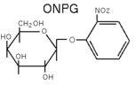 2 Nitrophenyl B D Galactopyranoside [onpg]