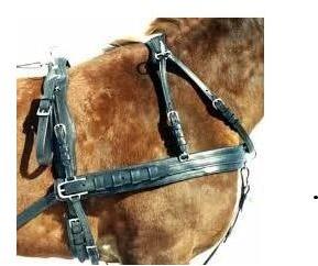 Horse Harness, Features : Optimum Finish, Attractive Look, Tear Resistance