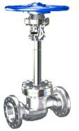 Globe Valve with Extended Bonnet Instead
