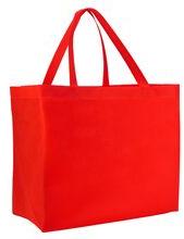 Sandex Corp Non-woven fabric Non woven cooler bag, Style : Handled