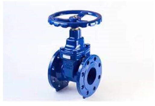 Stainless Steel Cast Iron Gate Valve, Size : 1 Inch