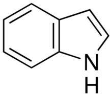 Indole Pharma