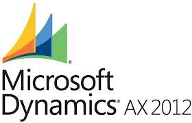 Microsoft Dynamic Erp Service