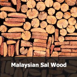Sal Wood