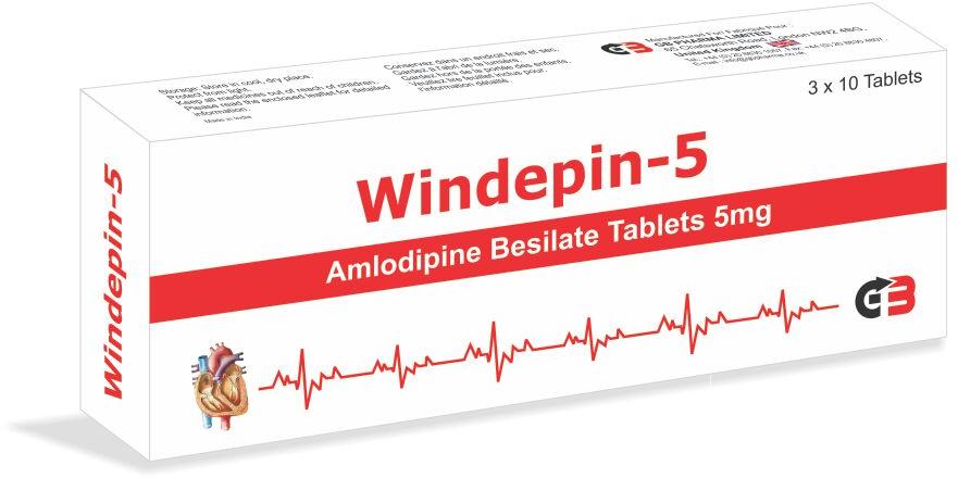 WINDEPIN-5