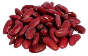 Red Kidney Beans, Packaging Type : Bulk, Can (Tinned), Vacuum Pack
