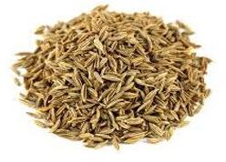 Cumin Seeds