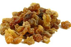 Gum myrrh