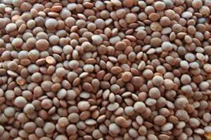 masoor dal