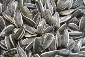 Sunflower Seeds