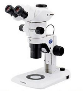 Stereo Microscope SZX7