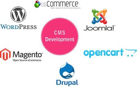 CMS Web Development Service