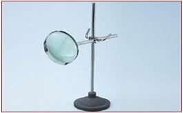 MAGNIFIER DISSECTING