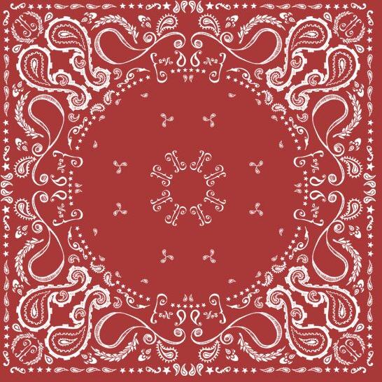 paisley bandana