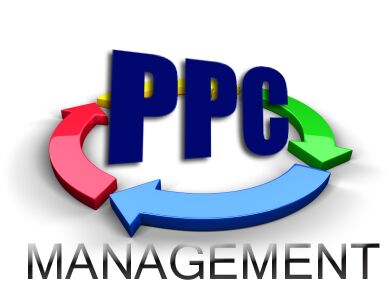 PPC Services Consultants
