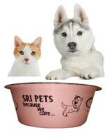 Fashion Stainless Steel Pet Feeder Bowls