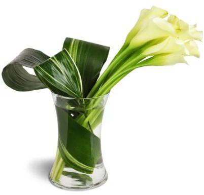 Classic Elegance Calla Vase