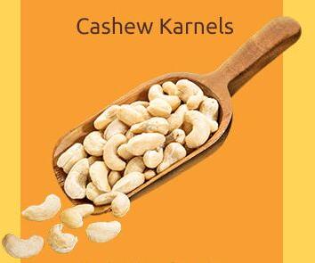 cashew kernels
