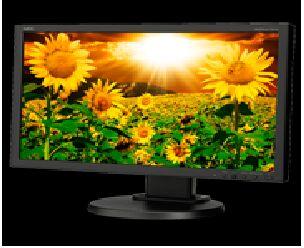 Widescreen Desktop Monitor